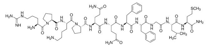 Methamphetamine and Substance P?